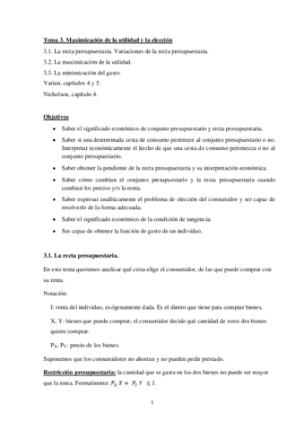 Tema-3-Maximizacion-de-la-utilidad-y-la-eleccion.pdf