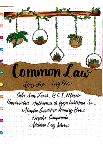 Common-Law-derecho-ingles.pdf