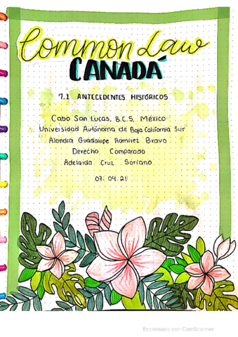 Common-Law-Canada-Antecedentes-Historicos.pdf