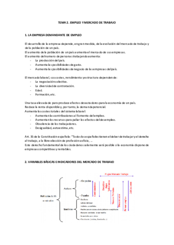 TEMA-2.pdf