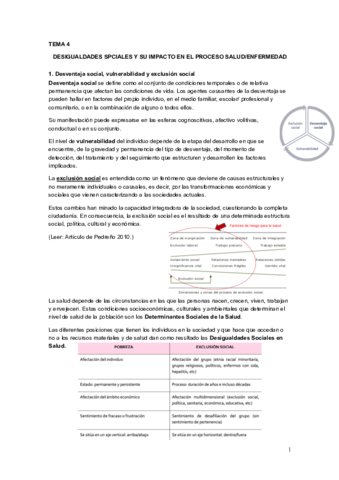 Tema 4. Desigualdades sociales