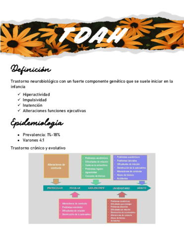 TDAH.pdf