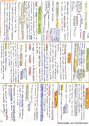 Miniresumen-del-Tema-1-Derecho-Tributario-2021.pdf