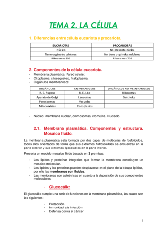 ESQUEMA-RESUMEN-TEMA-2.pdf