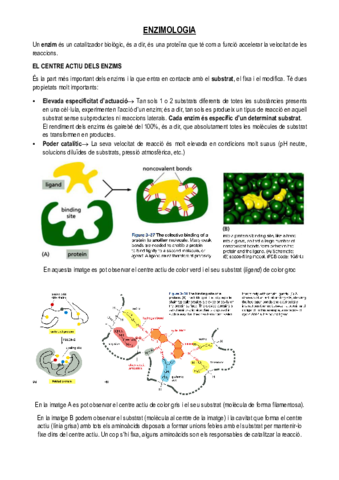 ENZIMOLOGIA.pdf