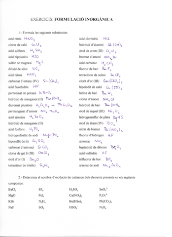 exercicis formulació inorgànica.pdf