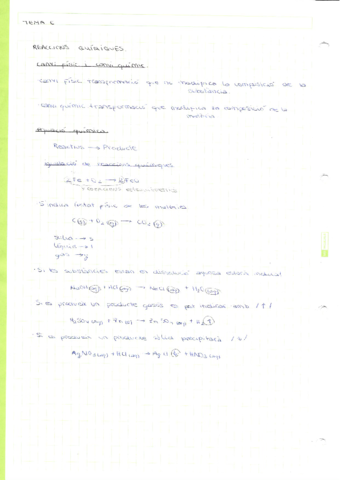 reaccions-quimiques.pdf