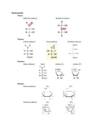 els-glucids-2.pdf