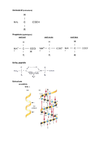 les-proteines-2.pdf