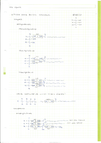 els-lipids-2.pdf