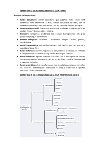 FUNCIONS-DE-LES-PROTEINES.pdf