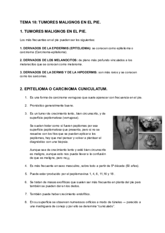 TEMA-18-TUMORES-MALIGNOS-EN-EL-PIE-1.pdf