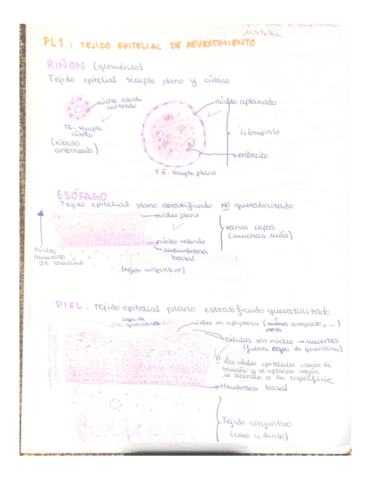 Cuaderno-de-practicas.pdf