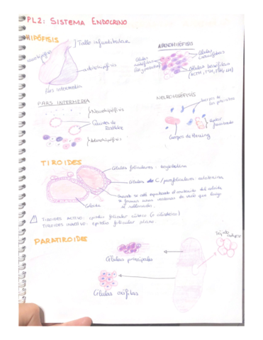 Cuaderno-de-practicas-DIBUJOS.pdf