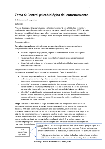 Tema 6.pdf