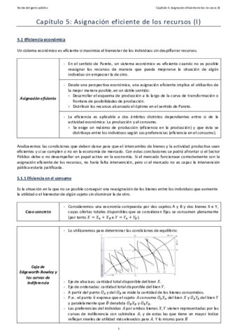 Resumen-TGP-T5.pdf