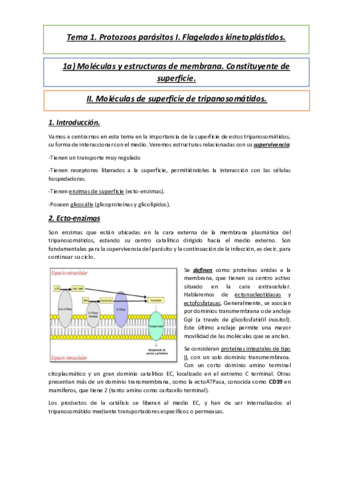 Tema-1a2.pdf