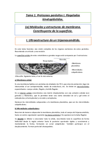 Tema-1a1.pdf
