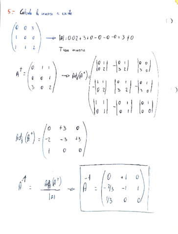 Tema-1-MatesII.pdf