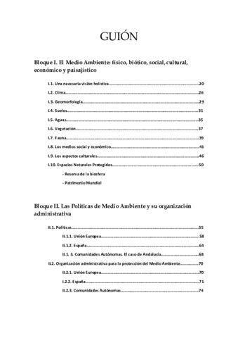 GUION.pdf