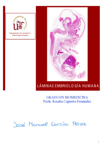 Laminas-Embriologia-Corregidas.pdf