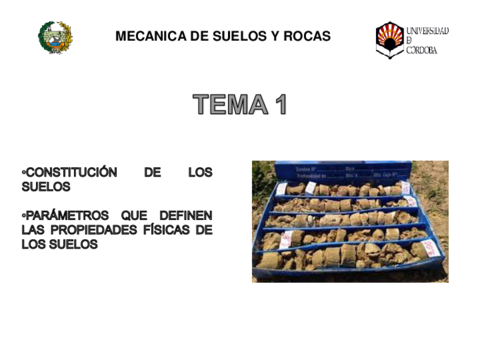 TEMA1.pdf