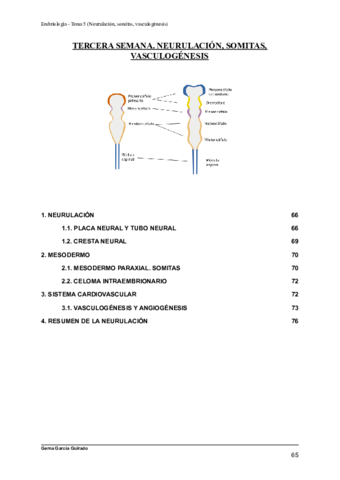 TEMA-5-TERCERA-SEMANA.pdf