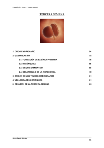 TEMA-4-TERCERA-SEMANA-EMBRIOLOGIA.pdf
