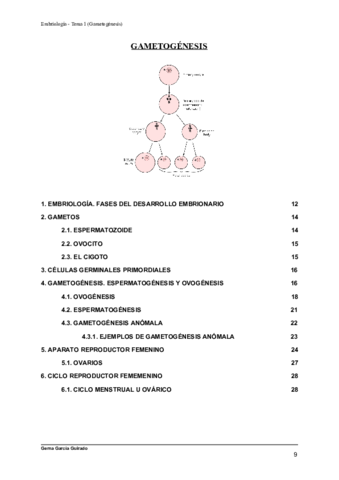 TEMA-1-GAMETOGENESIS-EMBRIOLOGIA.pdf