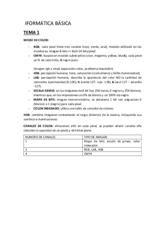 INFOBASICA-APUNTES.pdf