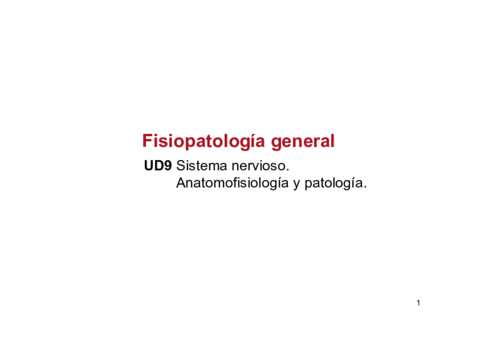 UD-9-SISTEMA-NERVIOSO.pdf