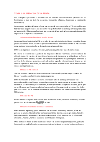 TEMA-1-La-medicion-de-la-renta.pdf