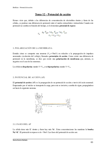 TEMA-12-POTENCIAL-DE-ACCION-BIOFISICA.pdf