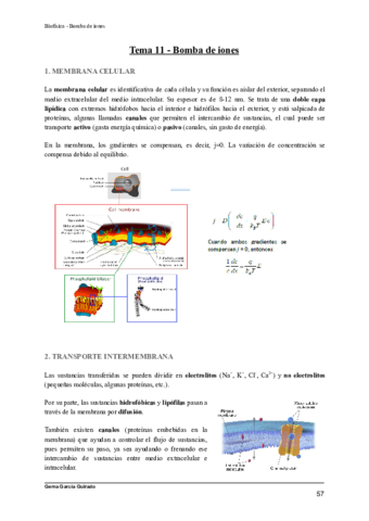 TEMA-11-BOMBA-DE-IONES-BIOFISICA.pdf