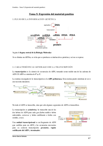 TEMA-5-EXPRESION-DEL-MATERIAL-GENETICO-GENETICA.pdf