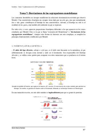TEMA-7-APLICACIONES-DE-LA-ADN-POLIMERASA-GENETICA.pdf