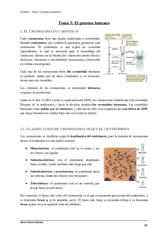 TEMA-3-EL-GENOMA-EUCARIOTA-GENETICA.pdf