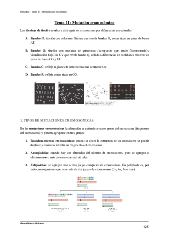 TEMA-11-MUTACION-GENICA-GENETICA.pdf