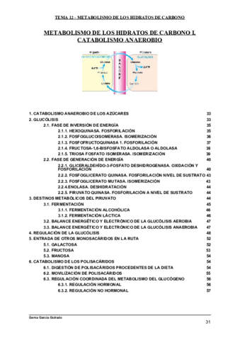 TEMA-12-METABOLISMO-DE-LOS-HIDRATOS-DE-CARBONO-I.pdf