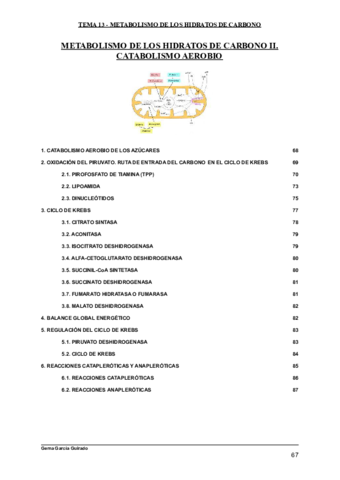 TEMA-13-METABOLISMO-DE-LOS-HIDRATOS-DE-CARBONO-II.pdf