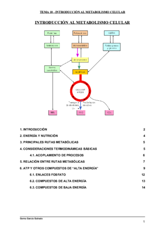 TEMA-10-INTRODUCCION-AL-METABOLISMO-CELULAR-BIOQUIMICA.pdf