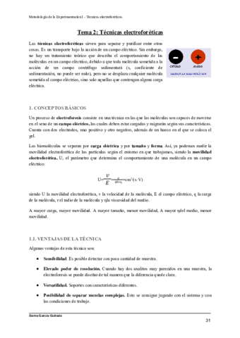 TEMA-2-TECNICAS-ELECTROFORETICAS-METODOLOGIA-DE-LA-EXPERIMENTACION.pdf