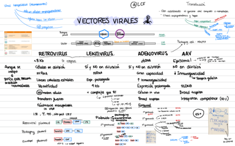 Vectores-virales.pdf