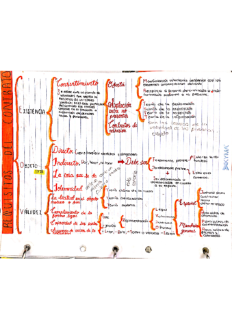 requisitos-del-contrato.pdf