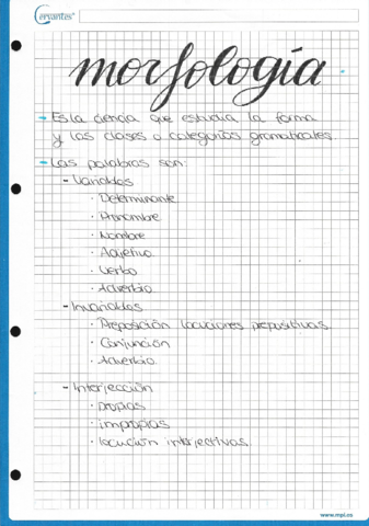 morfologia.pdf