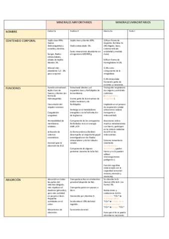 MINERALES.pdf