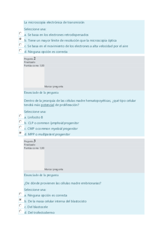 Preguntas-examen.pdf