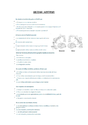 SN-tests--solucion.pdf
