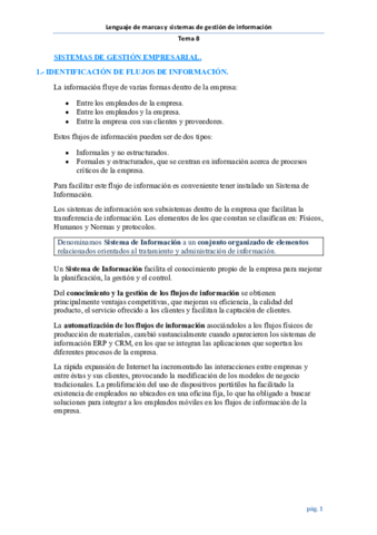 T8ResumenLMSG.pdf