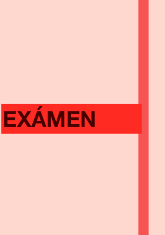 PREGUNTAS-EXAMEN.pdf